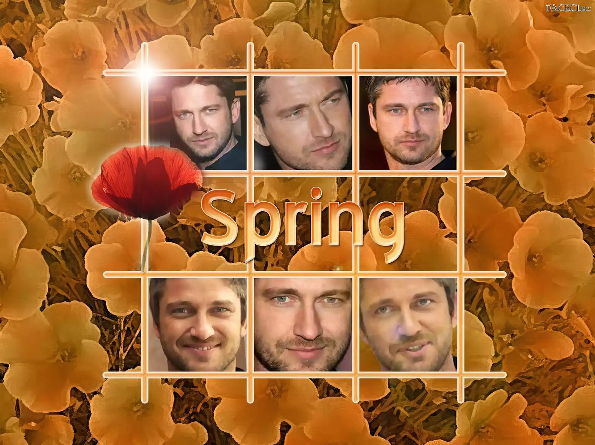 kwiatki, Gerard Butler, spring